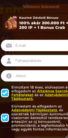 Alapadatok kitöltése