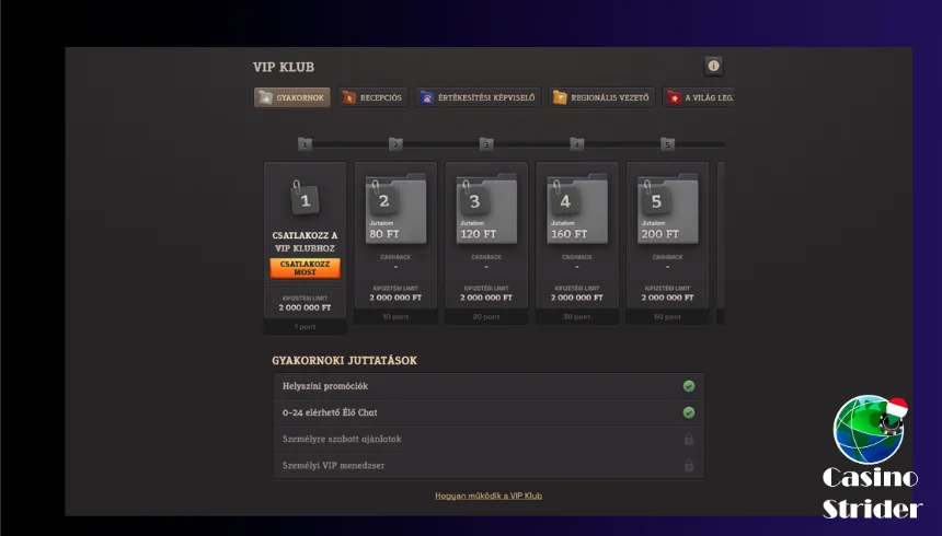 Spinboss VIP program